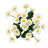 Daisy Arrangement-278678282