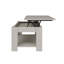 Adrianne Lift Top Four Leg Coffee Table with Storage-37943691