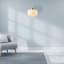 Stagg 1 - Light Chrome Pendant
