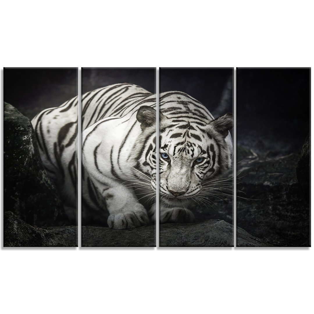 " White Tiger Animal " by Designart 4 - Pieces Design Art