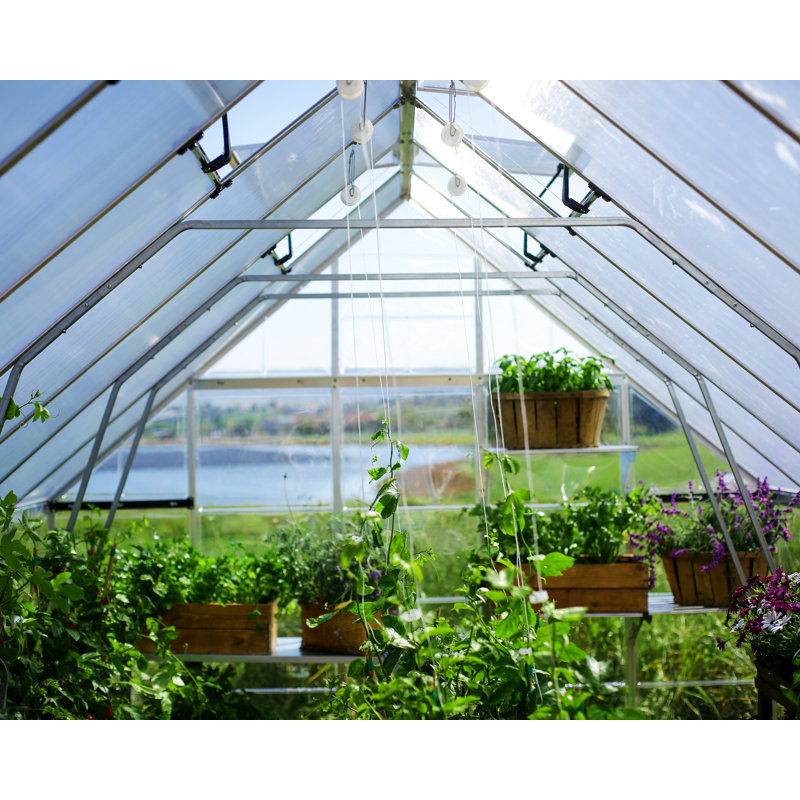 Palram Canopia 10' x 20' Silver Polycarbonate Greenhouse