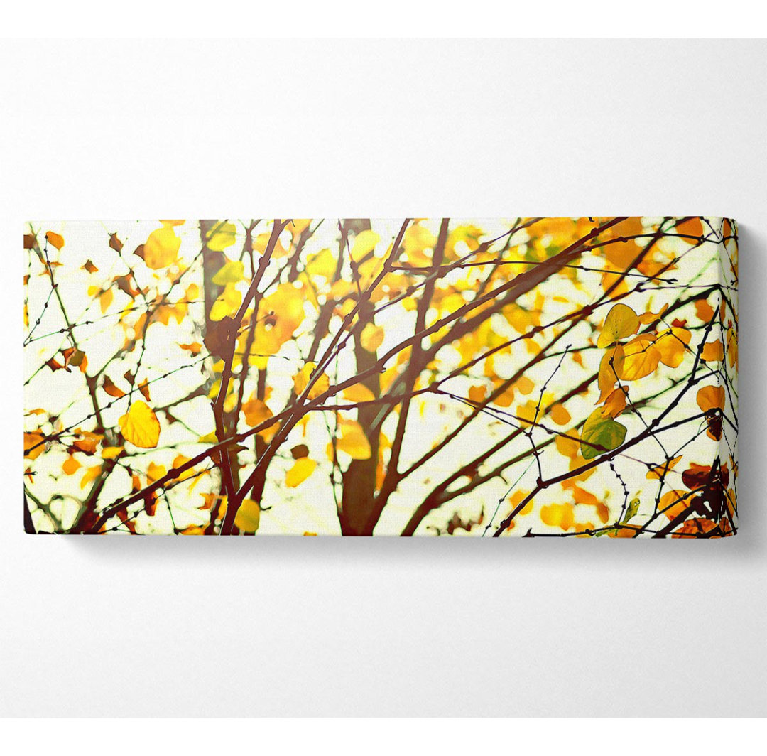 Licht im Wald - Kunstdrucke auf Leinwand - Wrapped Canvas