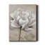 «Soft White I» par Nan - reproduction d'art sur toile tendue-1732458581