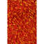 Tulip Handmade Area Rug