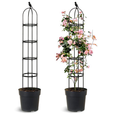 Obelisks Trellis For Climbing Plants