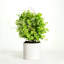 17'' Artificial Eucalyptus Plant In Pot