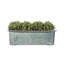 Hallwood Handmade Window Box Planter