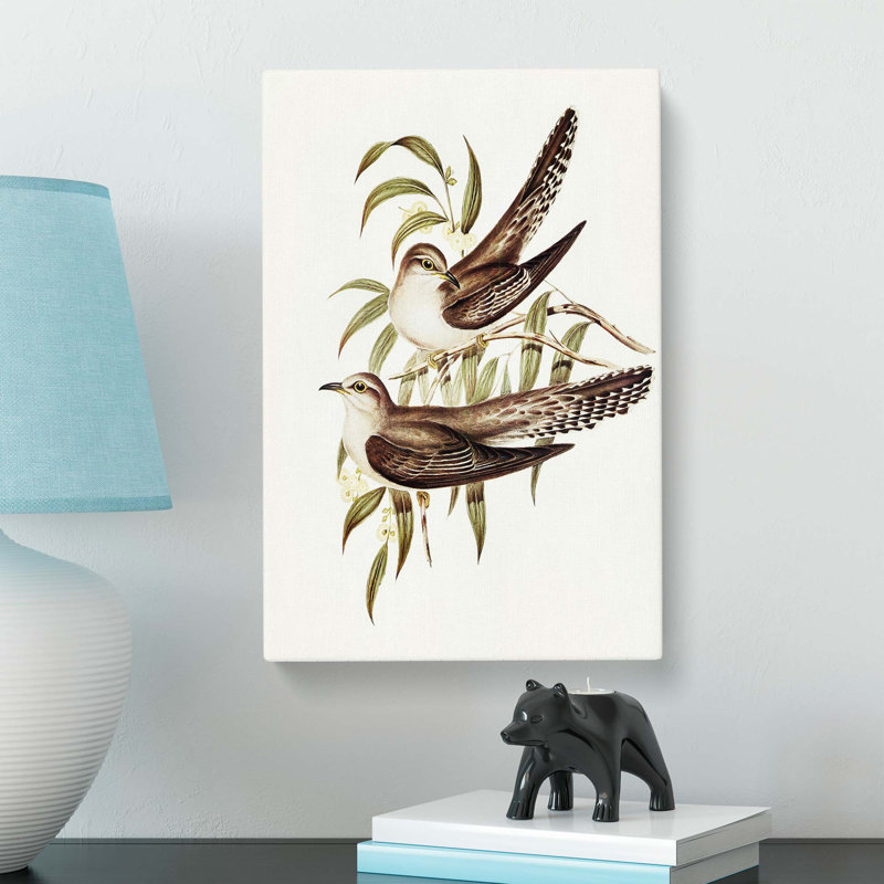 Unadorned Cuckoos by Elizabeth Gould - Wrapped Canvas Painting, 50cm H x 35cm W x 3cm D