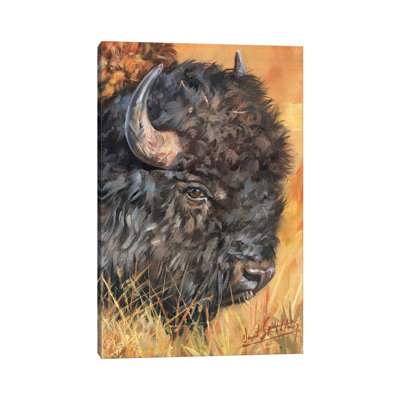 Bison Portrait by David Stribbling - Wrapped Canvas Print