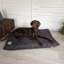Expedition Orthopedic Polyester Pet Bed-2033301383