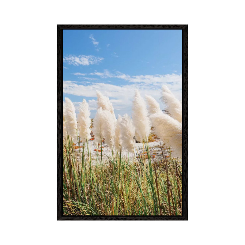 California Beach Day III by Bethany Young - Print on Canvas, 66.04cm H x 45.72cm W x 3.81cm D, Black Framed