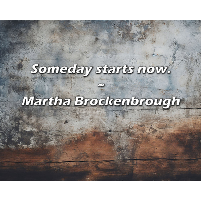 Martha Brockenbrough Citation: Un jour commence maintenant.