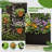 Metal Planter Box with Trellis Set Of 2-1905526364