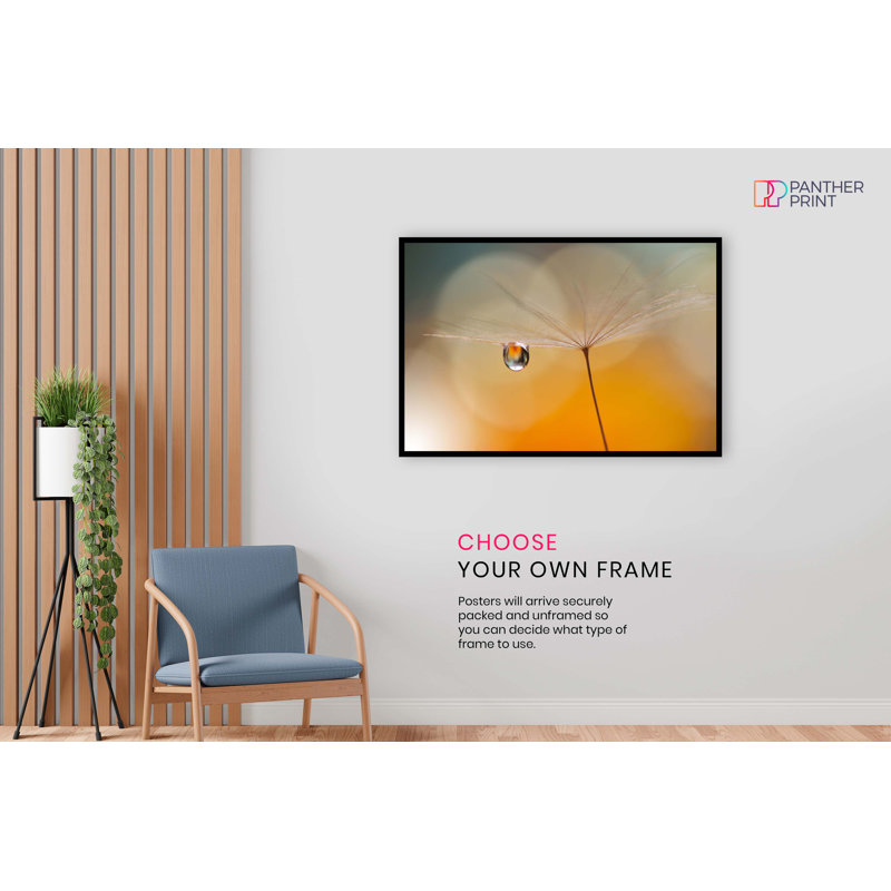 Orange Dandelion - No Frame Print on Glass, 91cm H x 61cm W, Paper