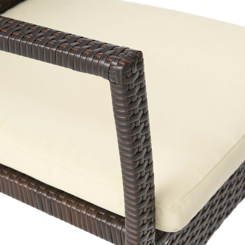 Ensemble de chaises d'extérieur avec finition en osier et coussins amovibles