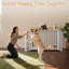 Caisse pour chien en bois-1474079024