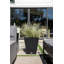Pure Series Nobleton Planter-20733623-53236034-20544250