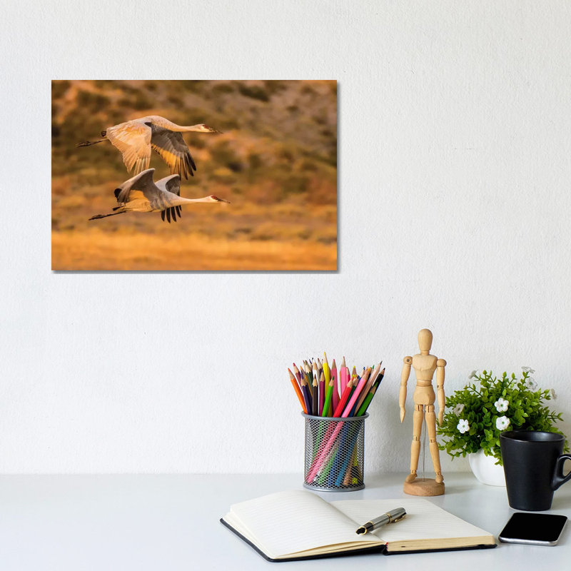 USA, New Mexico, Bosque Del Apache National Wildlife Refuge. Sandhill Cranes Flying. by Jaynes Gallery - Wrapped Canvas Gallery-Wrapped Canvas Giclée
