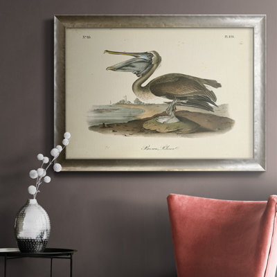 «Audubons Brown Pelican», reproduction sur toile encadrée