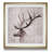 " Open Range II "-1418341346-1421996983