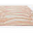 Finnick Floral Indoor / Outdoor Rug-729429689