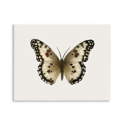 Art mural en forme de papillon symétrique brun clair par Elizabeth Medley