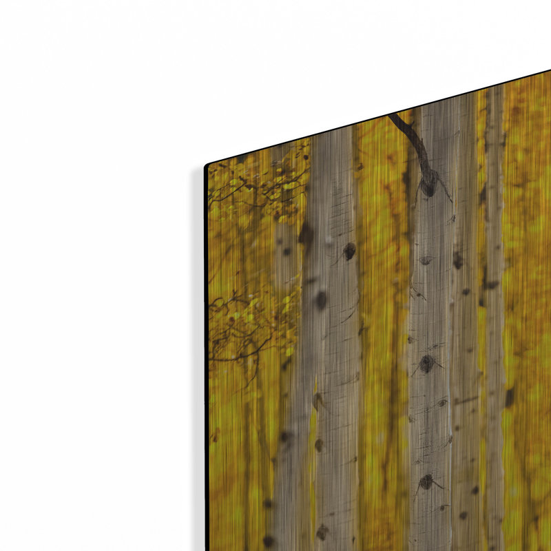"Aspen Trees" par Jonathan Ross, H 24 po x l 16 po