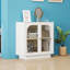 Armoire de rangement avec porte en acrylique-994136685