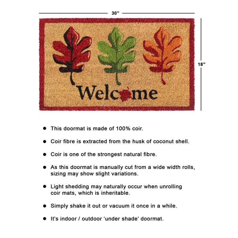 Tapis d'extérieur antidérapant Voltaire Welcome