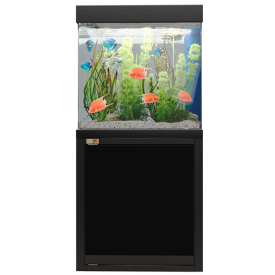 Yohan 40 Gallon Rectangle Aquarium Tank