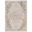 Tapis oriental à médaillon transitionnel Nimaha-559650776