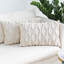 Ensemble de 2 housses de coussins décoratifs carrés de 18 po x 18 po-1325544155-1314919201-1325544148