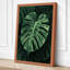 Monstera Leaf Study Botanical - Wrapped Canvas-1709538719-1709538715