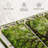 Nature 3 - Pieces-98864843