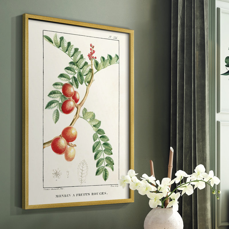Reproduction encadrée Turpin Tropical Botanicals III - bois massif, H 14 po x l 11 po