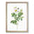 Oak Framed selected