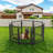Iron Yard Kennel-101515248
