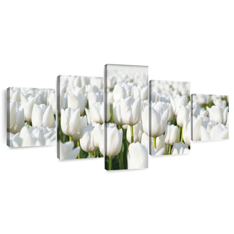 Tulipes blanches sans fin, H 30 po x l 68 po
