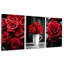 3 Piece Wrapped Canvas Print-137450773