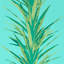 Yucca Wallpaper-50888988