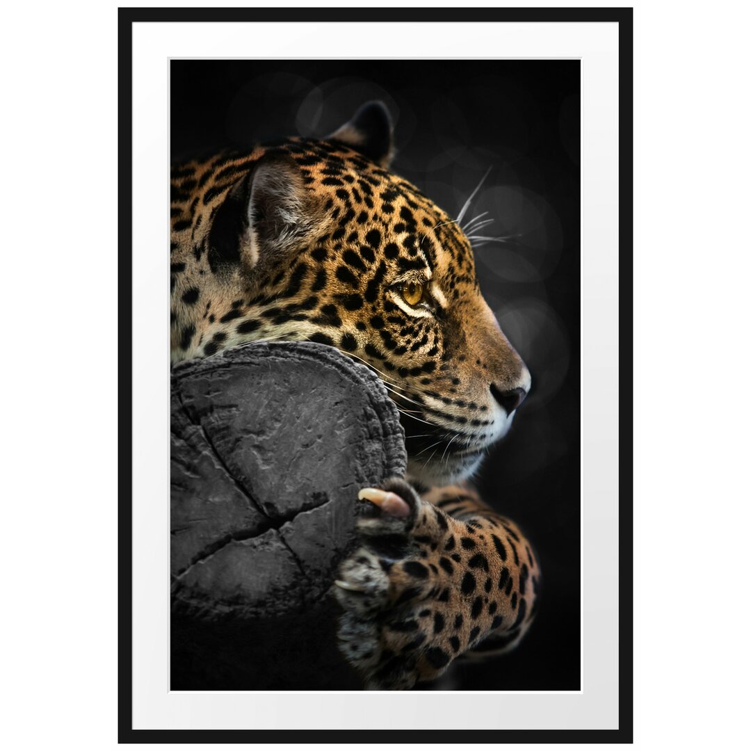 Gerahmtes Poster Prächtiger Leopard auf Stamm