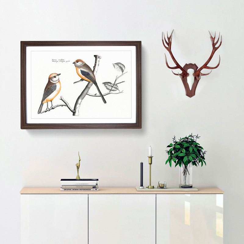 Tail Tit Birds by Johan Teyler - Framed Print, 48cm H x 65cm W x 2cm D, Walnut Framed