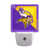 Vikings du Minnesota