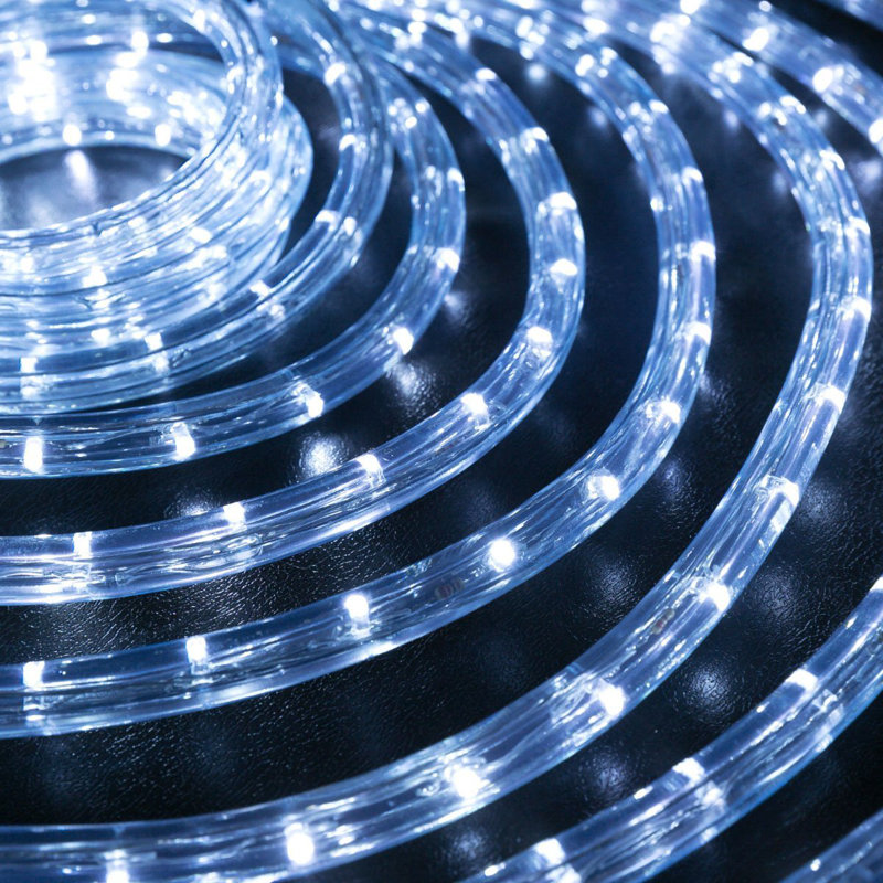 Les lumières de corde électrique The Holiday Aisle, 10 pi, Blanc froid