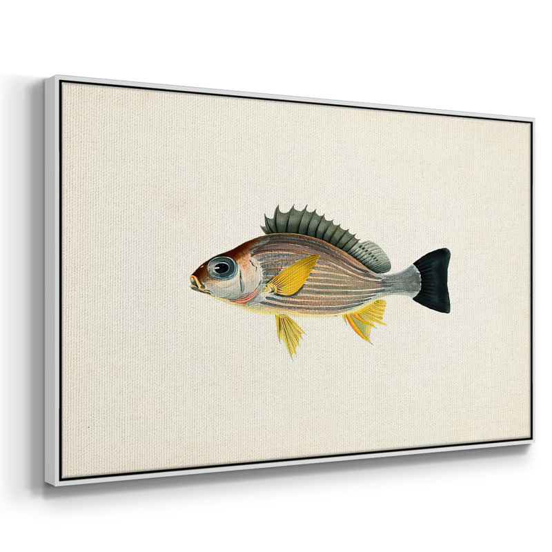 " Tropical Fish Collection III ", 25" H x 37" W x 2" D, White Framed