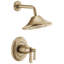 Rook® TempAssure® Thermostatic Shower Only-51913722