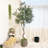 94'' Faux Olive Tree in Pot Liner