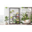 Altonya Plant Stand-758624431