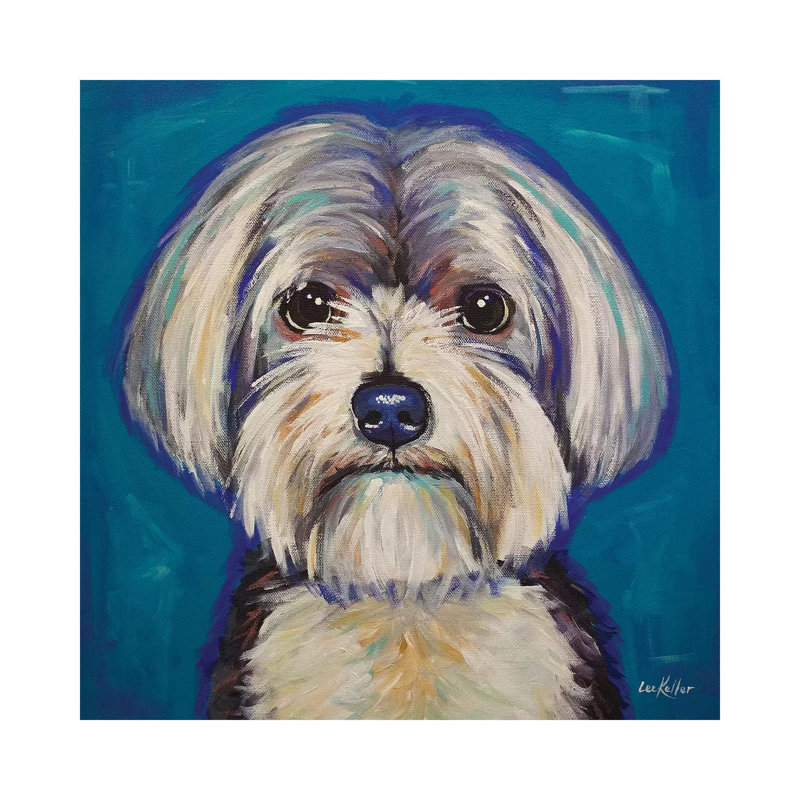 Morkie - Wrapped Canvas Print, 93.98 cm H x 93.98 cm W x 3.175 cm D