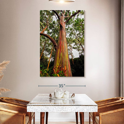 Harnek Eucalyptus In Maui Forest